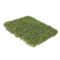 Realistisch UV Gestabiliseerd Golf Kunstmatig Gras 15mm Groen Gebied