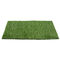 Decoratie Kunstmatig Gras voor Woonyards 12mm pp